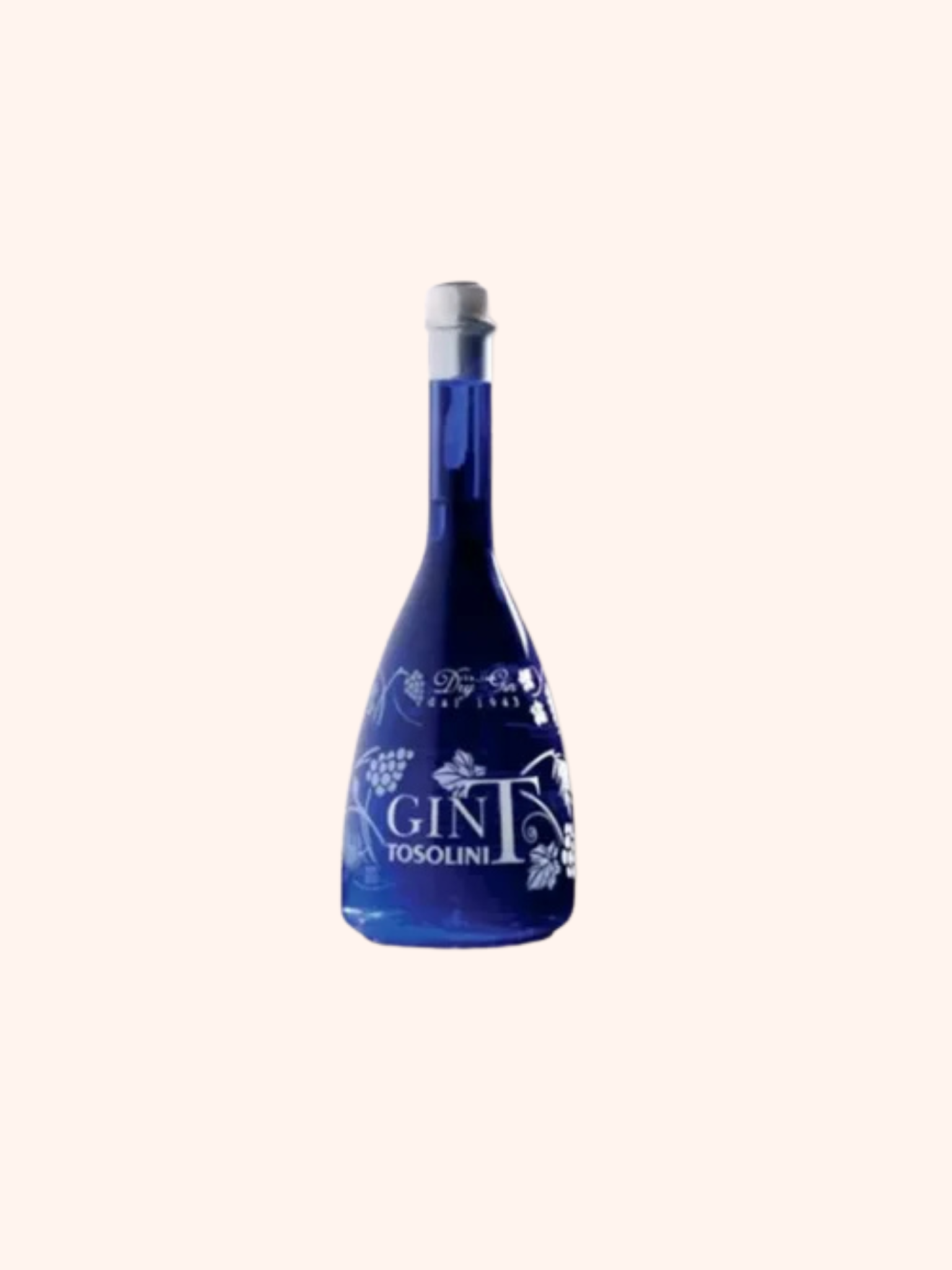 Gin T Bepi Tosolini, 43%, 0,7l